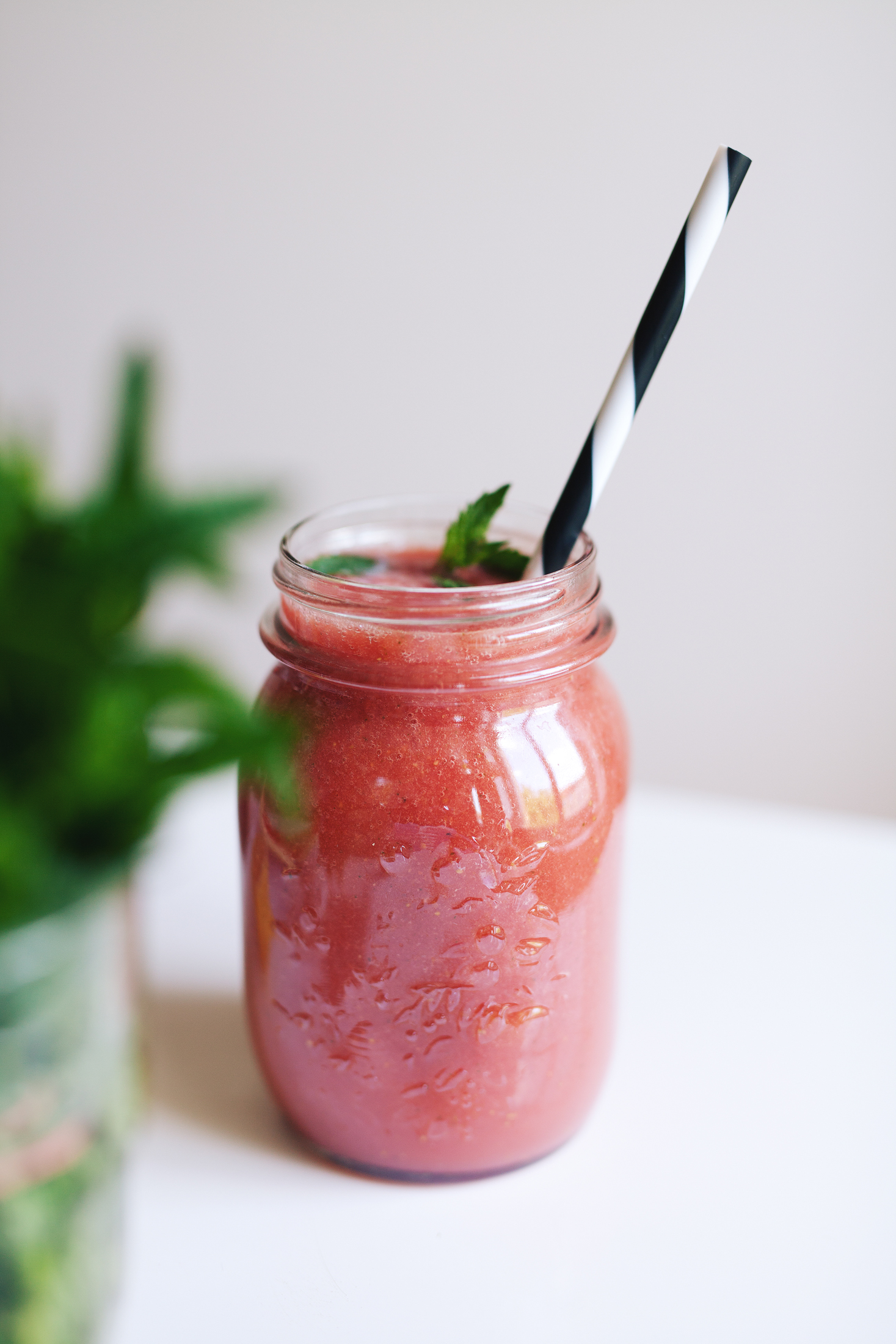 Living The Healthy Choice // Watermelon Mint Smoothie + Video